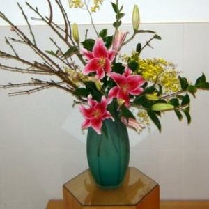 Meet your Posher, Aleida